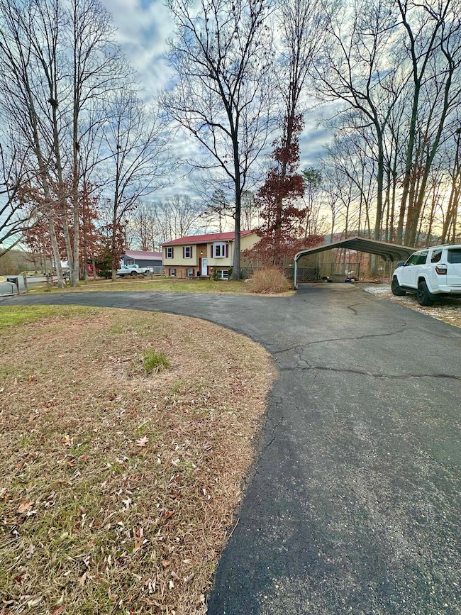 605 Chestnut St, Clifton Forge, VA 24422 - photo 2