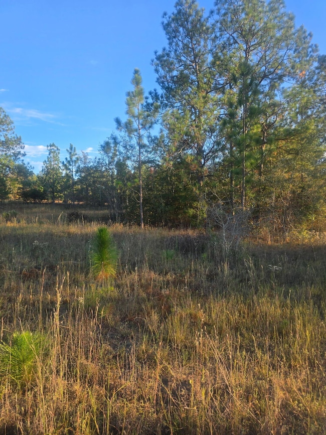 Tbd Hamilton Branch Way, Aiken, SC 29803 - photo 6