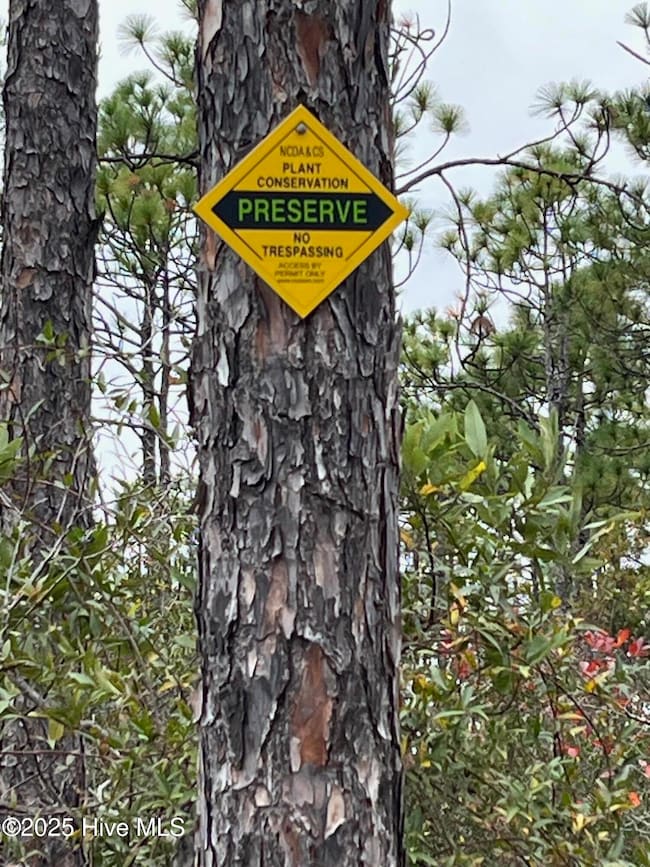 349 Magnolia, Southport, NC 28461 - photo 4