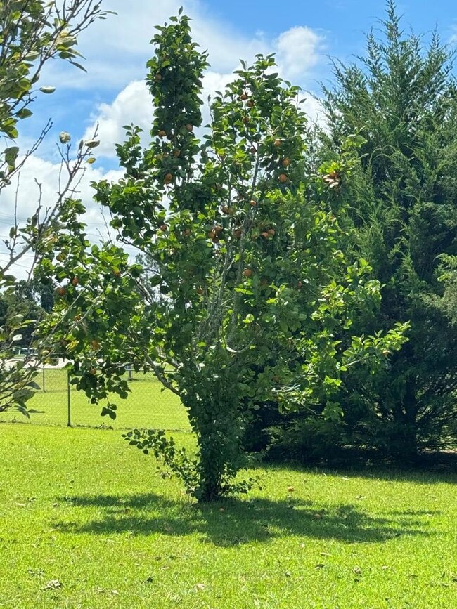 120 Old Pearson Rd, Douglas, GA 31535 - photo 5