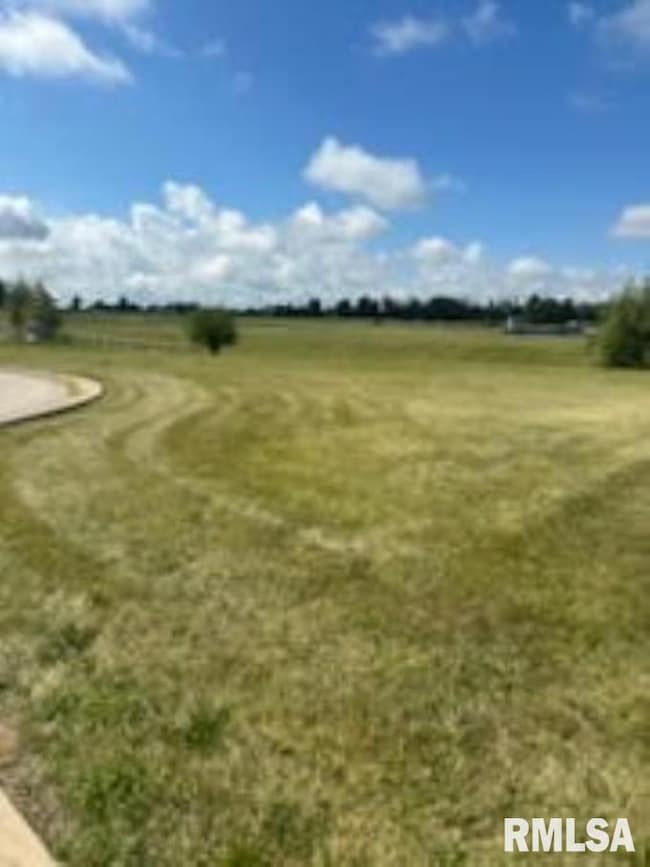 933 E James St, Eureka, IL 61530 - photo 3