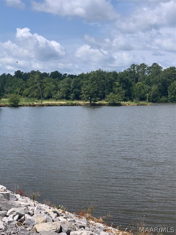 Future Site of Miller’s Ferry Marina