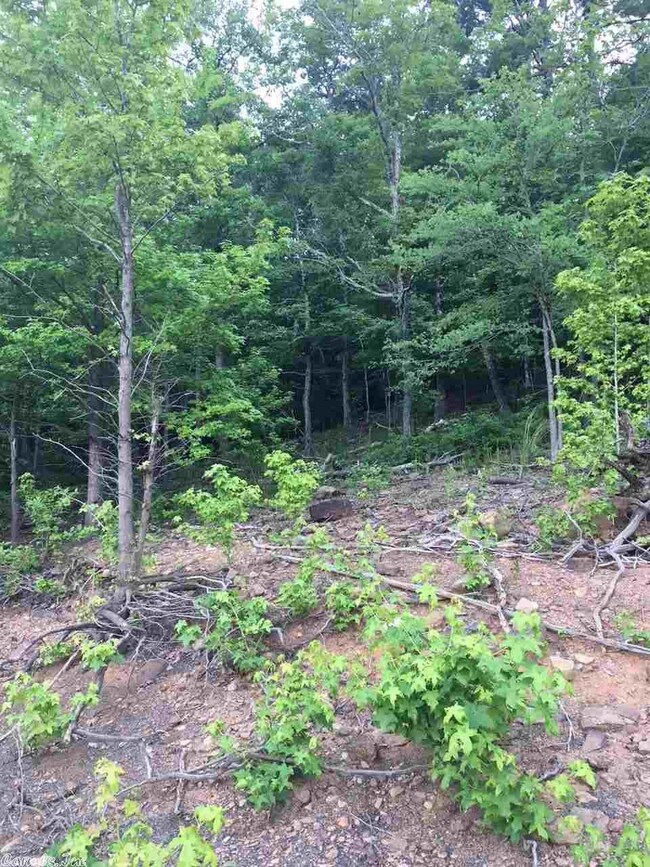 00 Lake Cliff Rd, Higden, AR 72067 - photo 2