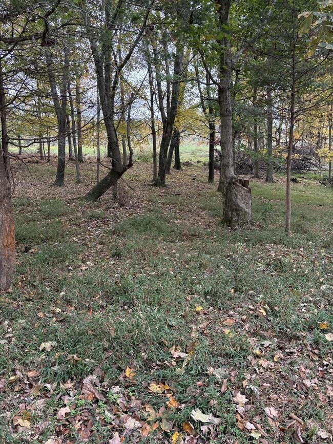 Pine Grove Ch Rd, Vanceburg, KY 41179 - photo 6