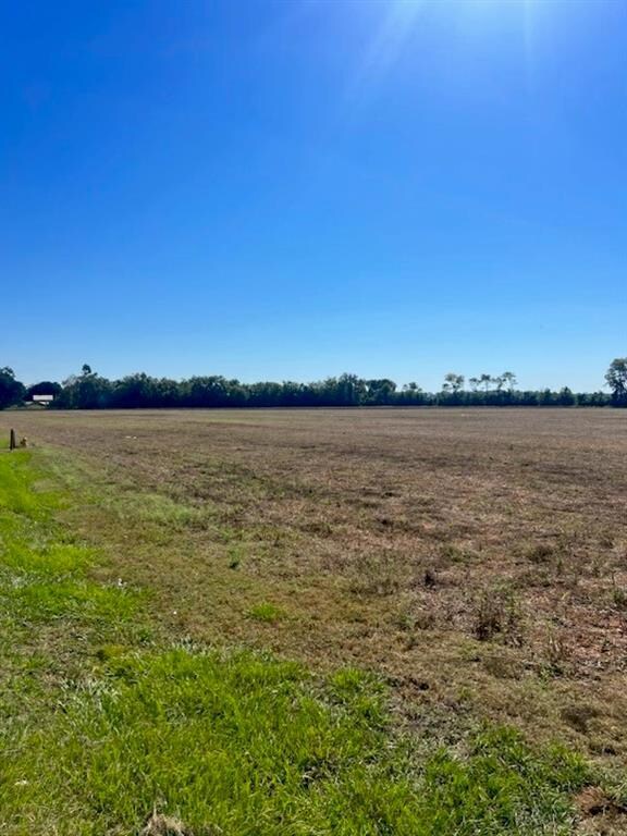 TBD Hwy 115 W Hwy, Bunkie, LA 71322 - photo 4