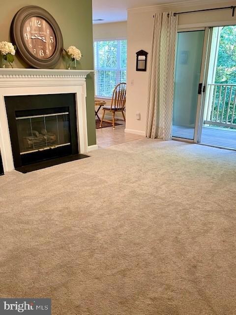 137 Timberbrook Ln unit 102, Gaithersburg, MD 20878 - photo 7