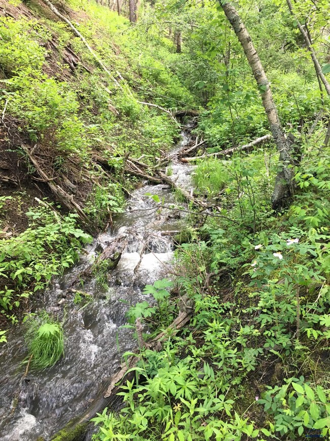 0 Danube Ln, West Pennington, SD 57702 - photo 3