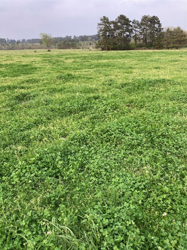 34010 Old Hempstead Rd, Magnolia, TX 77355 - photo 7