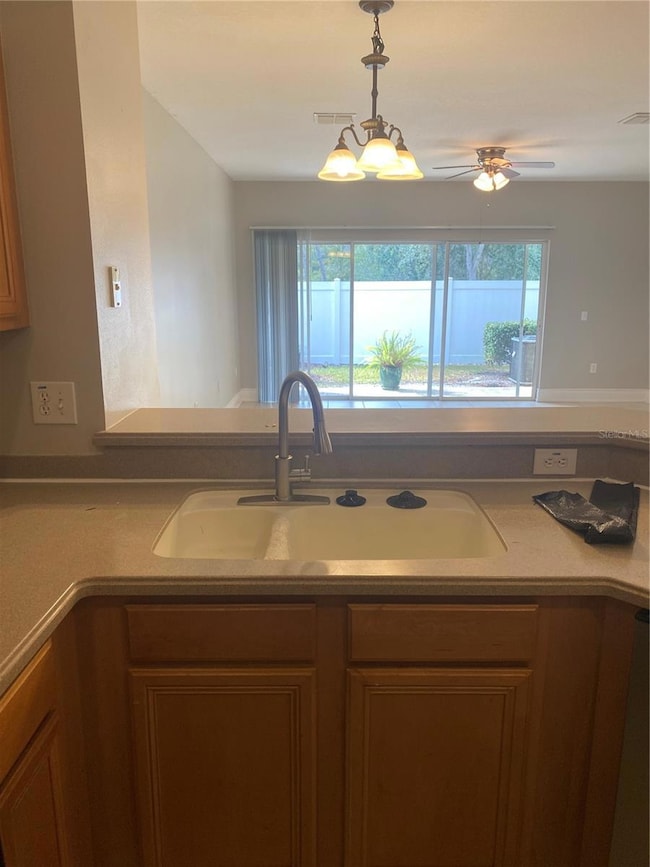 20406 Needletree Dr unit 20406, Tampa, FL 33647 - photo 5