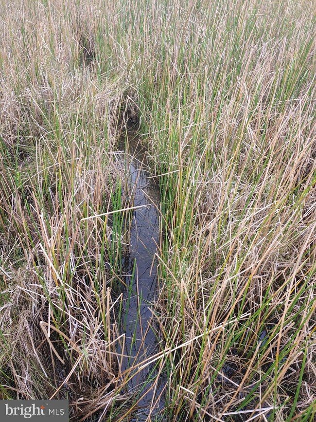 0 Shorters Wharf unit MDDO2006234, Cambridge, MD 21613 - photo 5