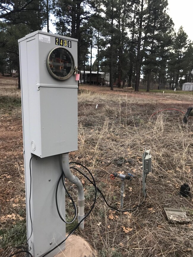 2430 W Sylvester Dr, Show Low, AZ 85901 - photo 4