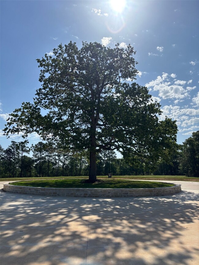 Signature cul-de-sac on Hidden Oak located within