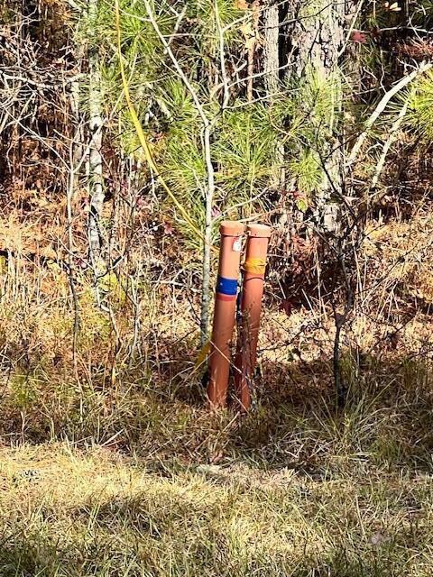 0 Mariners Way unit Lot 39, Lincolnton, GA 30817 - photo 3