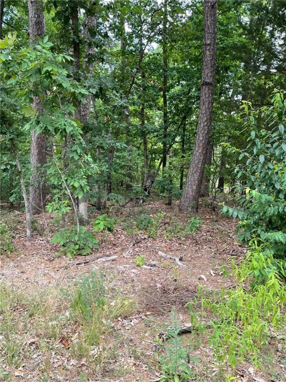 Lot 5 Tiverton Ln, Bella Vista, AR 72715 - photo 6