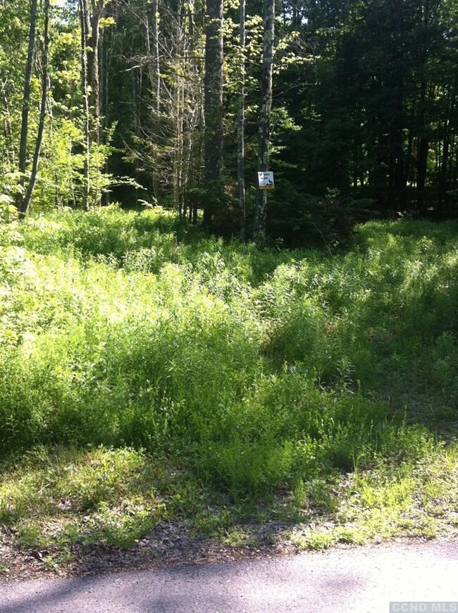 71 Hunter Ln, Hunter, NY 12492 - photo 5