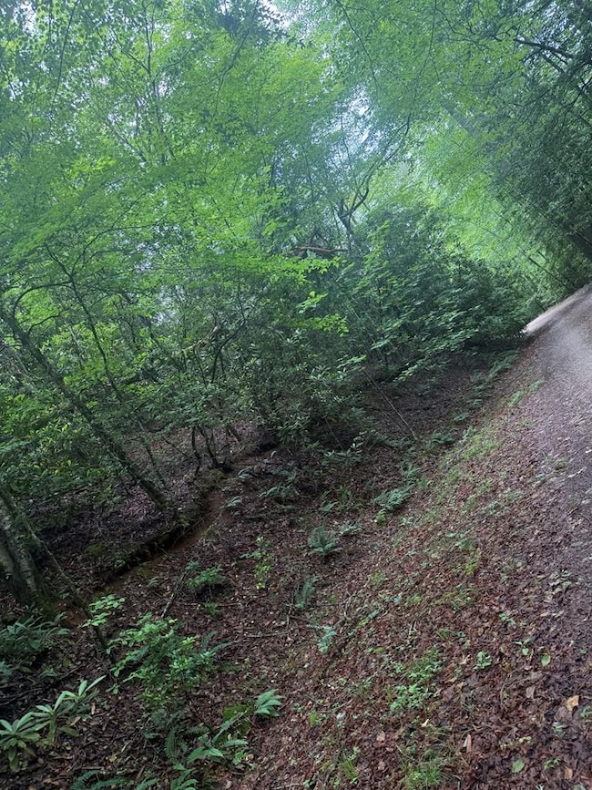 0 Willow Pond Rd unit 26041420, Franklin, NC 28734 - photo 4