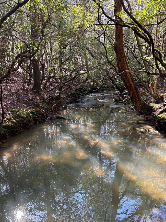 Tract 15 Thomas Springs Rd, Crossville, TN 38572 - photo 2