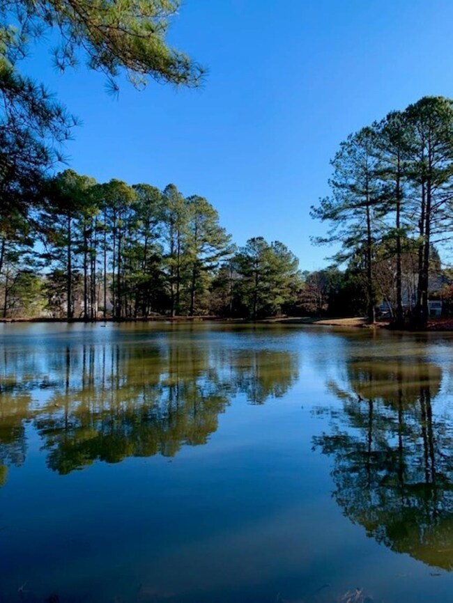 1923 Bearkling Place, Chapel Hill, NC 27517 - photo 3