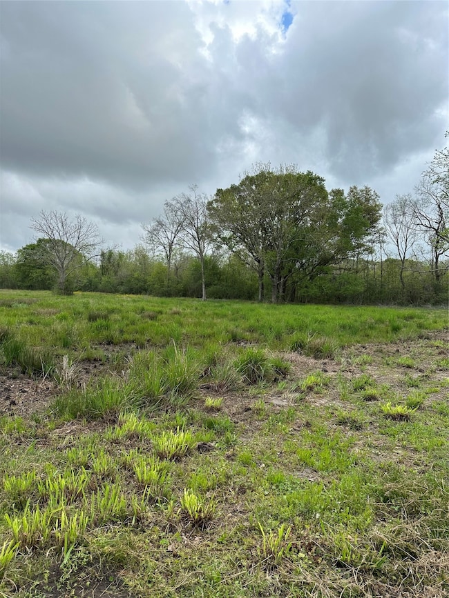 0 County Road 567, Rosharon, TX 77583 - photo 3