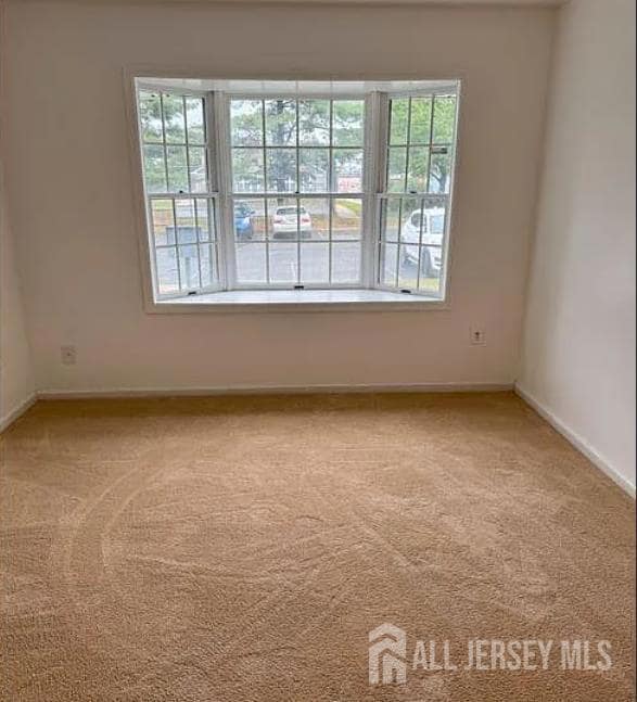 314 Edpas Rd, New Brunswick, NJ 08901 - photo 4