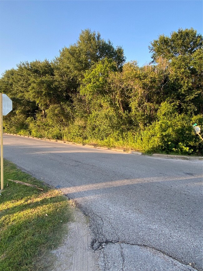 0 Dover St unit 26134764, Houston, TX 77061 - photo 6