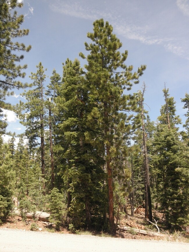 3060 Colt Rd unit Duck Creek Pines Ph, Duck Creek Village, UT 84762 - photo 6