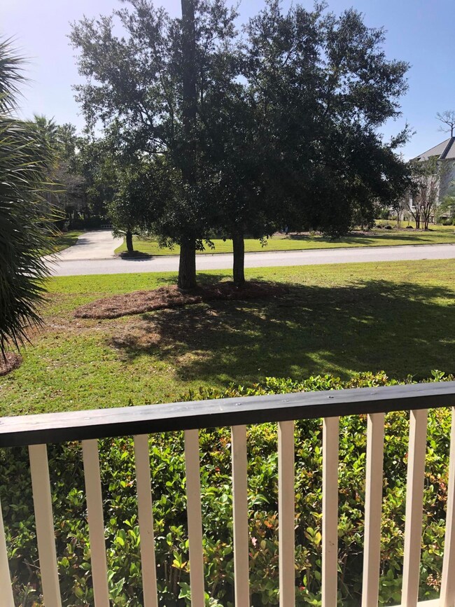 Shade trees in the front yard.