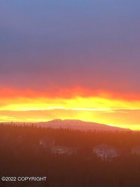 View 1