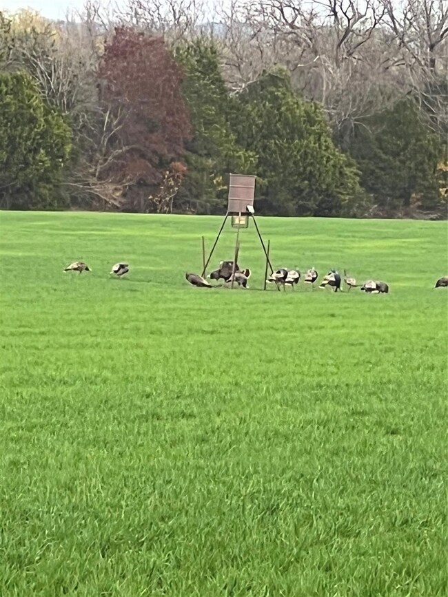 Tbd Co Rd 382, Carlton, TX 76436 - photo 7