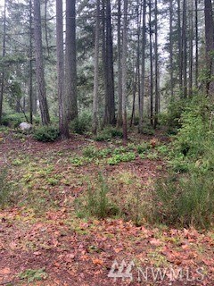 9020 Davenport Rd, Anderson Island, WA 98303 - photo 2