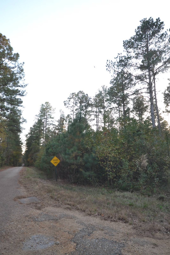 00, Buckner, AR 71827 - photo 3