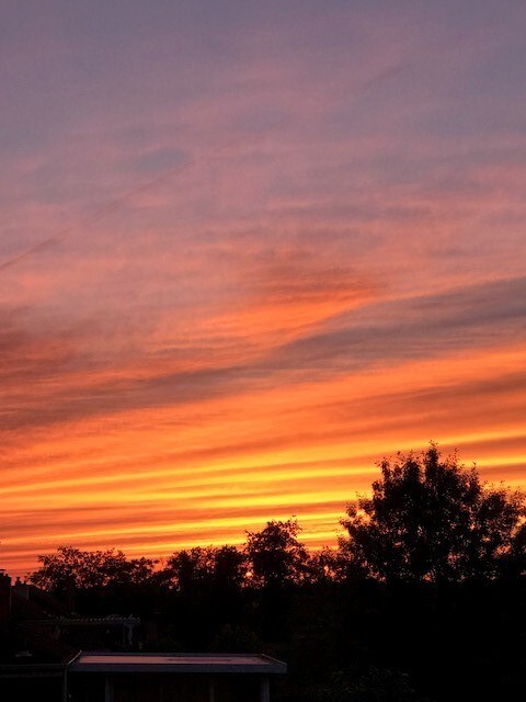 GORGEOUS evening sunsets from the Deck! Absolutely stunning.