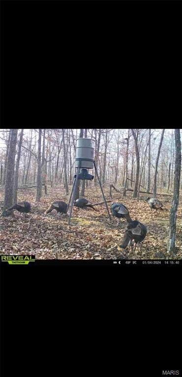 TDB Upper Janes Creek Raod, Ravenden, AR 72459 - photo 7