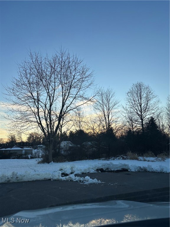 0 Collingwood Place, Austintown, OH 44515 - photo 2