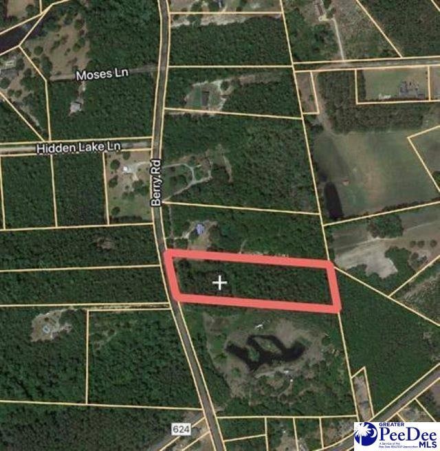 Lot 37 Berry Rd, Latta, SC 29565 - photo 3
