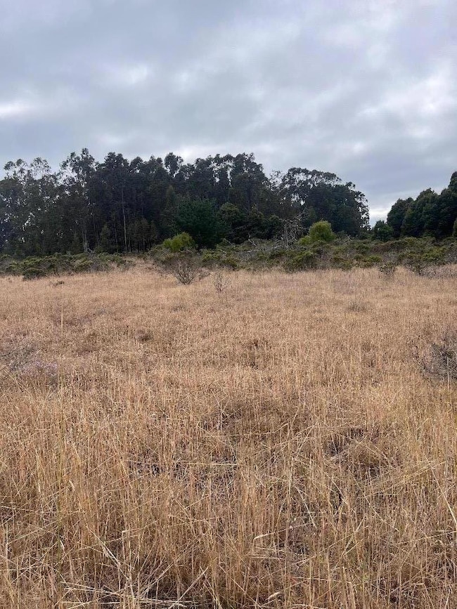 200 Dolores Ave, Half Moon Bay, CA 94019 - photo 5