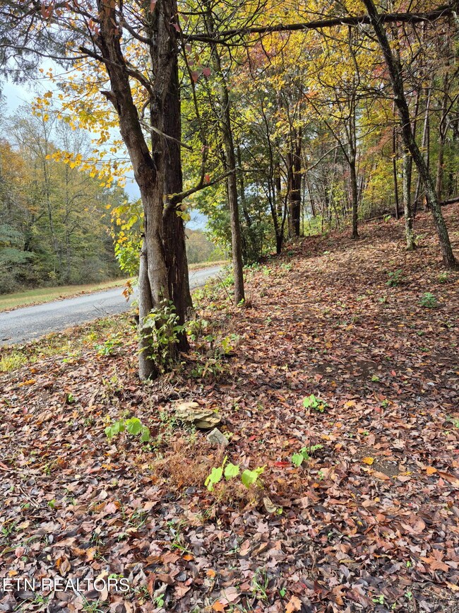 265 Jd Farm Rd, Tellico Plains, TN 37385 - photo 5