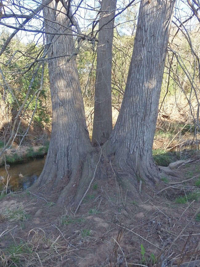 41 Basse Ln unit 1, Fredericksburg, TX 78624 - photo 4