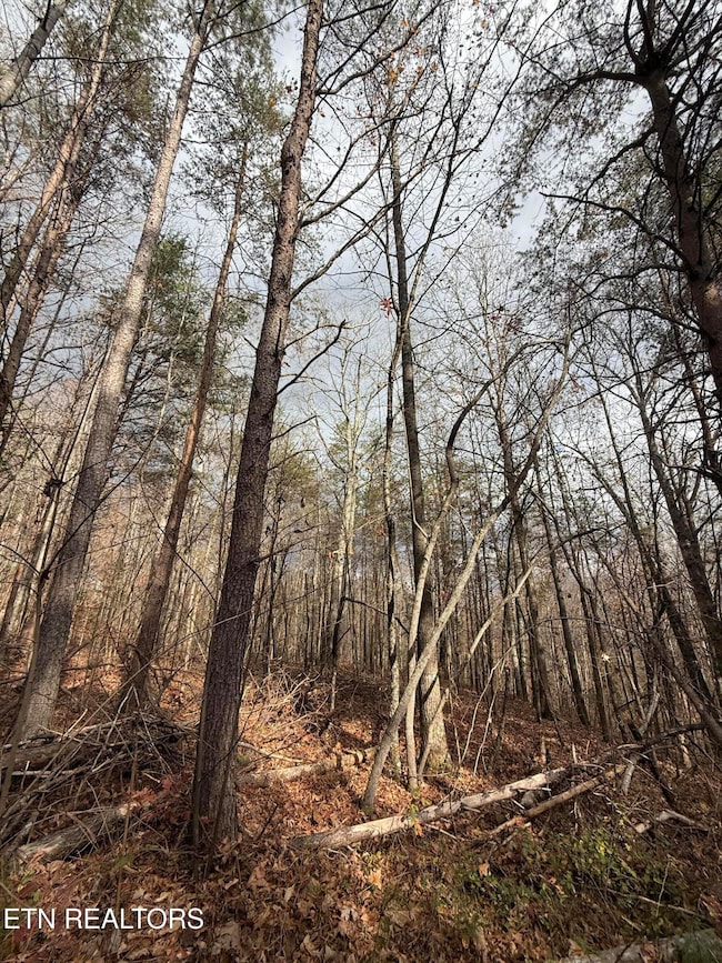 Lot 2 Parksville Rd, Benton, TN 37307 - photo 5