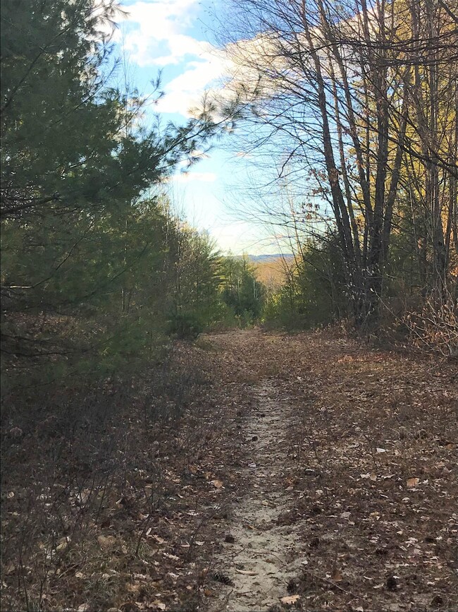 0 Forest Lake Rd unit 4897805, Winchester, NH 03470 - photo 2