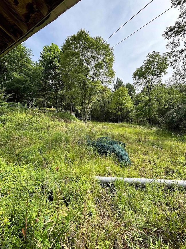 2843 Marquess Rd, Tunnelton, WV 26444 - photo 4