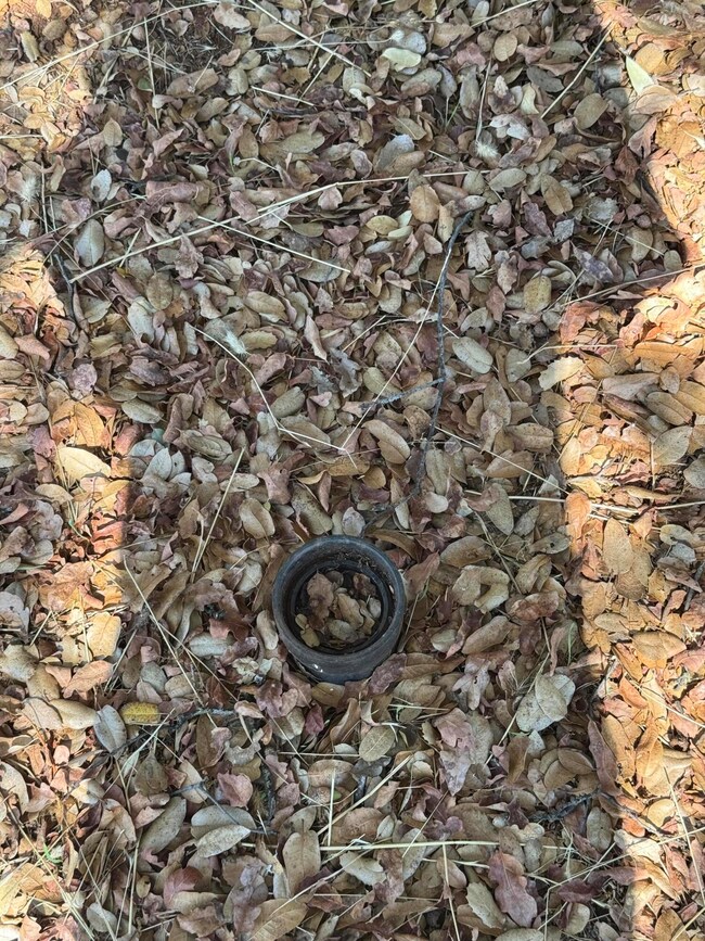 26612 Scharsch Rd, Shingletown, CA 96088 - photo 4