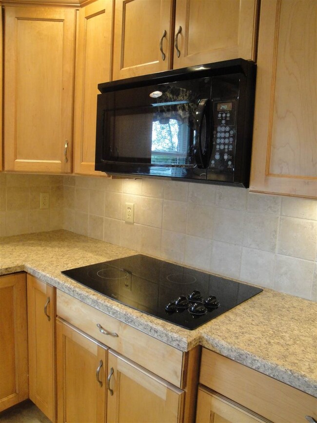 Electric Cooktop-2008