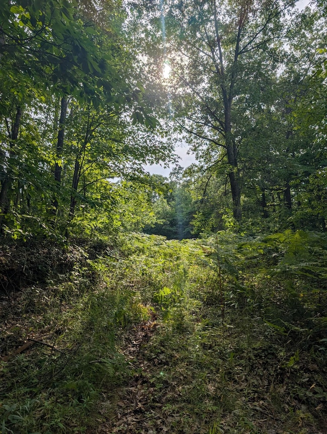 0 N Weber Rd, Muskegon, MI 49445 - photo 5