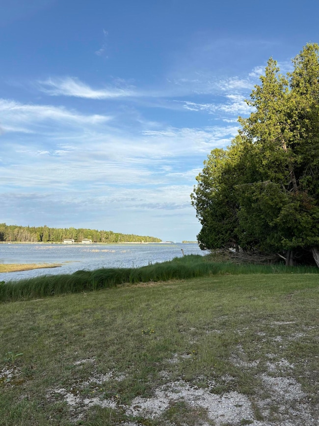 1665 S Forest Ln, Cedarville, MI 49719 - photo 3