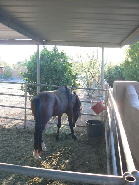 Full Livestock Facility