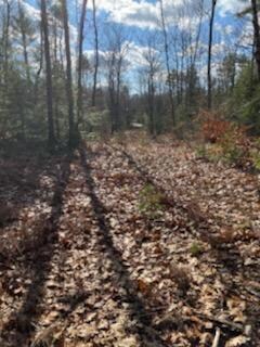 0 That Way Lot #9 unit 1541717, West Bath, ME 04530 - photo 5