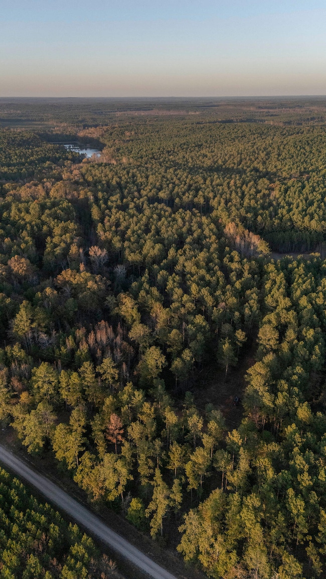 Tbd Barr Chapel Rd, Edgefield, SC 29824 - photo 2