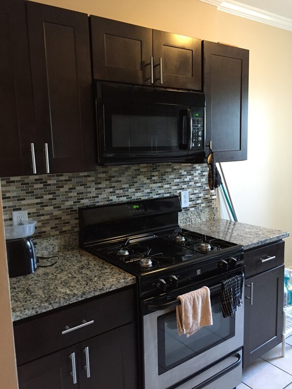 435 Walnut Ave unit 10, Roxbury, MA 02119 - photo 3