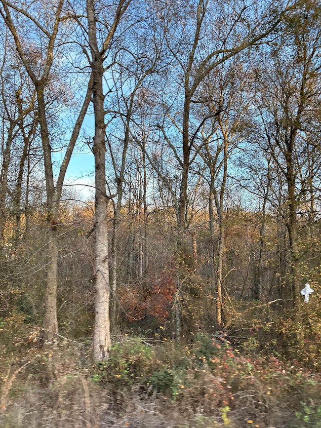 0 Old Furnace Rd, Boiling Springs, SC 29316 - photo 6